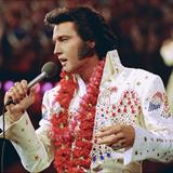EPiC: Elvis Presley Konserde Filmi Fotoğrafları