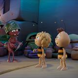 Arnie & Barney Şapşik Kardeşler Filmi Fotoğrafları