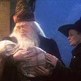 Harry Potter ve Felsefe Taşı Filmi Fotoğrafları