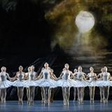 Swan Lake Filmi Fotoğrafları