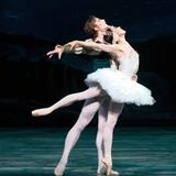 Swan Lake Filmi Fotoğrafları