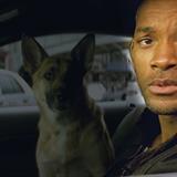 Ben Efsaneyim Filmi Fotoğrafları