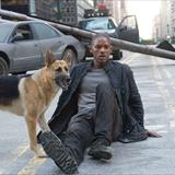 Ben Efsaneyim Filmi Fotoğrafları