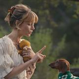 Beef Dizisi Fotoğrafları