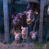 Hayvan Çiftliği Filmi Fotoğrafları