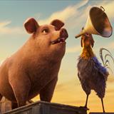 Hayvan Çiftliği Filmi Fotoğrafları