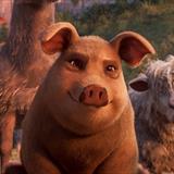 Hayvan Çiftliği Filmi Fotoğrafları