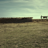 Bir Tutam Karanfil Filmi Fotoğrafları