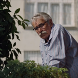 Kesilmiş Bir Ağaç Gibi Filmi Fotoğrafları