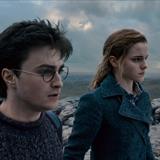 Harry Potter ve Ölüm Yadigarları: Bölüm 1 Filmi Fotoğrafları