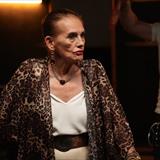 Çakallarla Dans 8: Şututgart Çıkarması Filmi Fotoğrafları