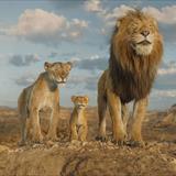 Mufasa: Aslan Kral Filmi Fotoğrafları