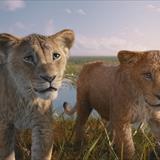 Mufasa: Aslan Kral Filmi Fotoğrafları