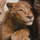 Mufasa: Aslan Kral Filmi Fotoğrafları