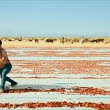 Hemme'nin Öldüğü Günlerden Biri Filmi Fotoğrafları