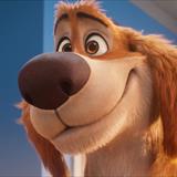 Charlie The Wonderdog Filmi Fotoğrafları