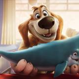 Charlie The Wonderdog Filmi Fotoğrafları