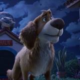 Charlie The Wonderdog Filmi Fotoğrafları