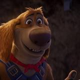 Kahraman Köpek Charlie Filmi Fotoğrafları