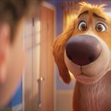 Kahraman Köpek Charlie Filmi Fotoğrafları