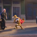 Kahraman Köpek Charlie Filmi Fotoğrafları