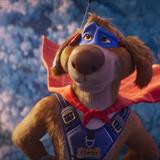 Kahraman Köpek Charlie Filmi Fotoğrafları
