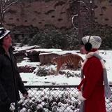 Rocky II Filmi Fotoğrafları