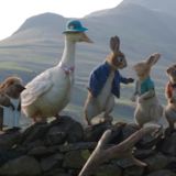 Peter Rabbit: Kaçak Tavşan Filmi Fotoğrafları