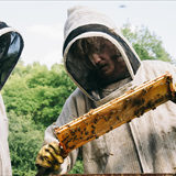 Bugonia Filmi Fotoğrafları