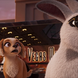 Evcil Kahramanlar Filmi Fotoğrafları