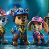 Paw Patrol: Dino Filmi Filmi Fotoğrafları