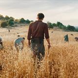 Filistin 36 Filmi Fotoğrafları