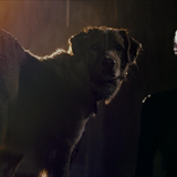 Good Boy Filmi Fotoğrafları