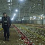 Sıvasız Evlerden Biri Filmi Fotoğrafları