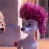 Köpekler Kurtlara Karşı Filmi Fotoğrafları