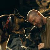 Vahşinin Kalbi Filmi Fotoğrafları