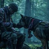 Vahşinin Kalbi Filmi Fotoğrafları