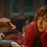 Sihirli Hayvanlar Okulu Filmi Fotoğrafları