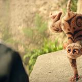Sihirli Hayvanlar Okulu Filmi Fotoğrafları