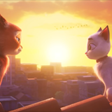 Özgür Kedi Scotty Filmi Fotoğrafları