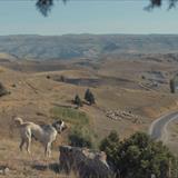 Beklenti Filmi Fotoğrafları