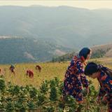 DJ Ahmet Filmi Fotoğrafları