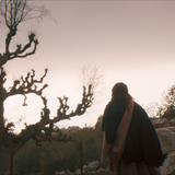 Balinanın Bilgisi Filmi Fotoğrafları