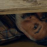 Dondurmam Gaymak: Gapital Filmi Fotoğrafları