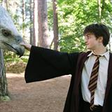 Harry Potter ve Azkaban Tutsağı Filmi Fotoğrafları