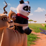 Cesur Panda Görevimiz Afrika Filmi Fotoğrafları