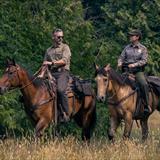 Untamed Dizisi Fotoğrafları