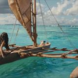 Moana Filmi Fotoğrafları