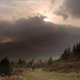 Barry Lyndon Filmi Fotoğrafları