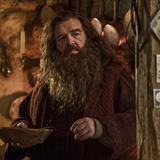 Harry Potter ve Felsefe Taşı Dizisi Fotoğrafları